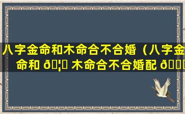 八字金命和木命合不合婚（八字金命和 🦟 木命合不合婚配 🍀 ）